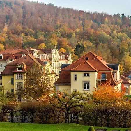 Hotel Dorint & Bad Brueckenau 4*