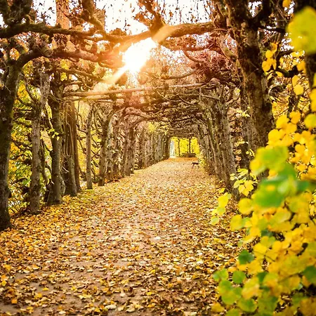 Hotel Dorint & Bad Brueckenau Staatsbad Bruckenau