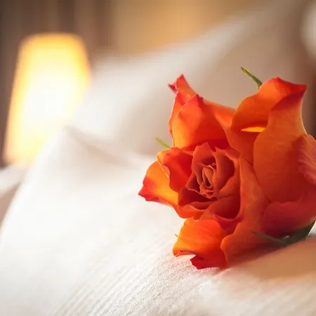 Ξενοδοχείο Dorint & Bad Brueckenau