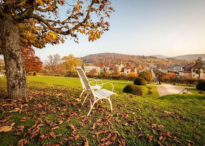 Szálloda Dorint & Bad Brueckenau